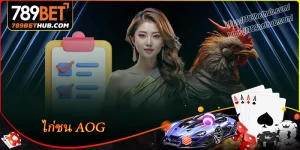 aog สัมผัสประสบการณ์ไก่ชนออนไลน์สุดเร้าใจ