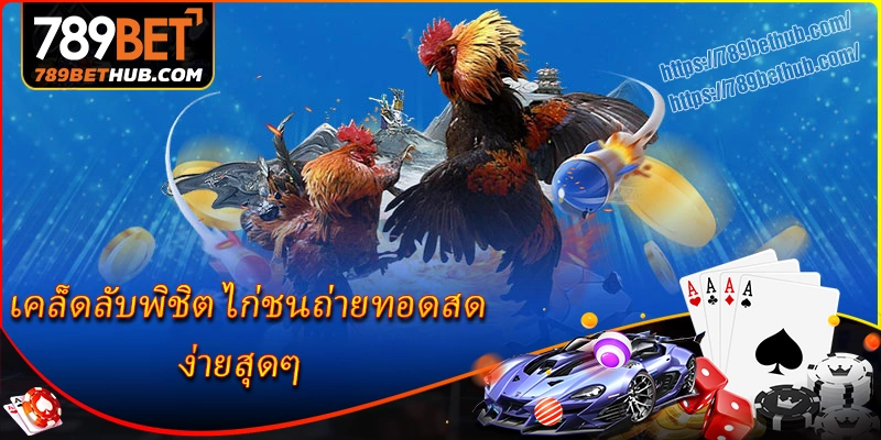 เคล็ดลับพิชิต ไก่ชนถ่ายทอดสด ที่ 789bet ง่ายสุดๆ