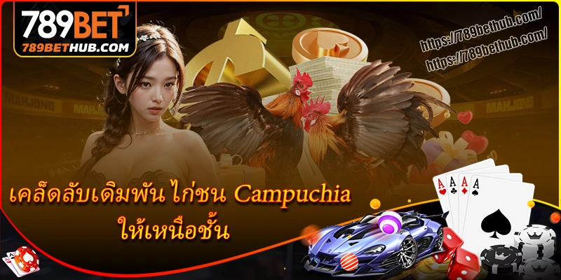 เคล็ดลับเดิมพัน ไก่ชน campuchia ให้เหนือชั้น