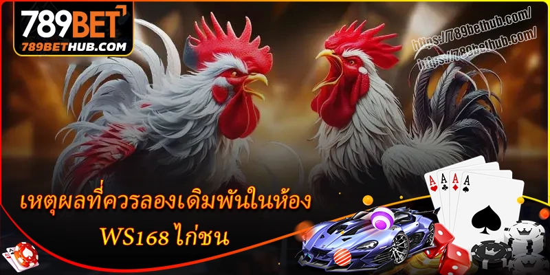 เหตุผลที่ควรลองเดิมพันในห้อง ws168 ไก่ชน