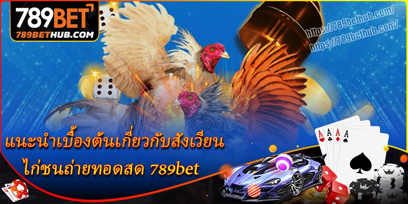 แนะนำเบื้องต้นเกี่ยวกับสังเวียน ไก่ชนถ่ายทอดสด 789bet