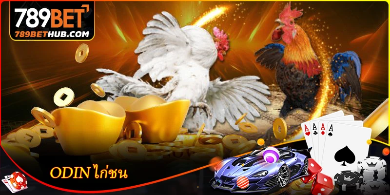 ODIN Cockfighting - Khám phá đấu trường đá gà trực tuyến đầy kịch tính.