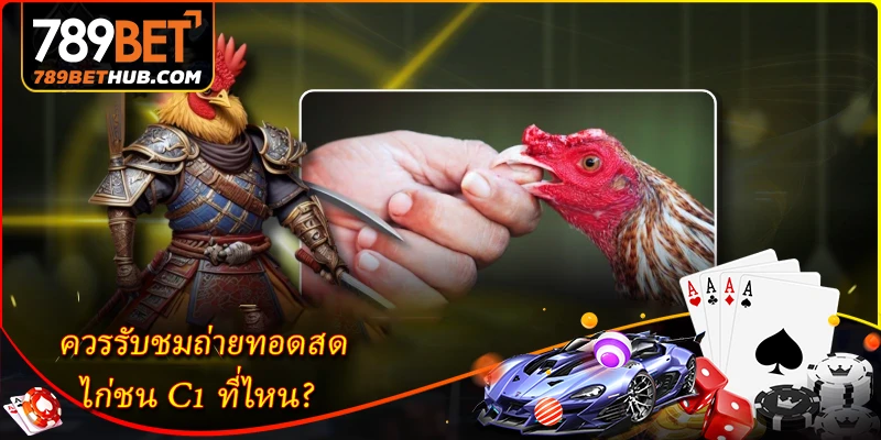 Tôi nên xem trực tiếp trận đá gà C1 ở đâu?