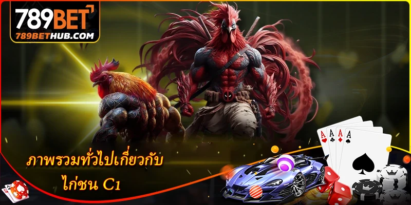 Tổng quan về gà chọi C1.